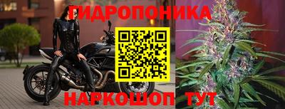 кокс Рязань